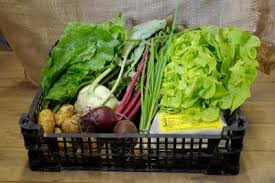 Zeleninová bednička. / 1bal